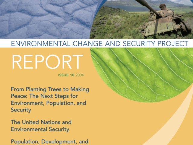 ECSP Report 10