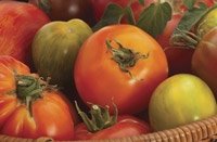 Rebuilding the U.S. Economy:  One Heirloom Tomato at a Time