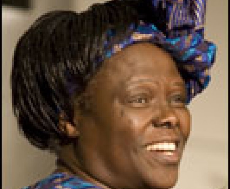 The Challenge for Africa: A Conversation With Wangari Maathai