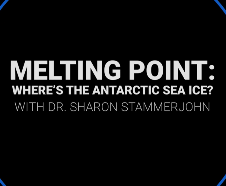 Antarctic Sea Ice Video title image