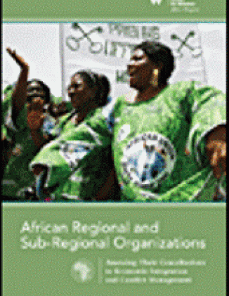 African Regional and Sub-Regional Organizations: Assessing Their Contribution to Economic Integration and Conflict Management
