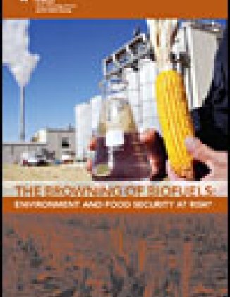 The Browning of Biofuels: Environment and Food Security at Risk