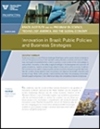 Brazil's Innovation Challenge: Public Policies and Business Strategies