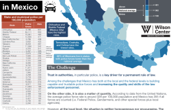 Policing in Mexico