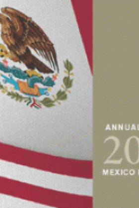 Mexico Institute Annual Report 2010