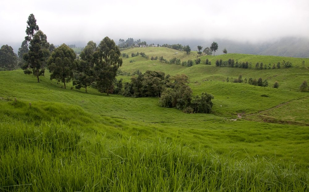 The Challenges of Rural Reform in Colombia