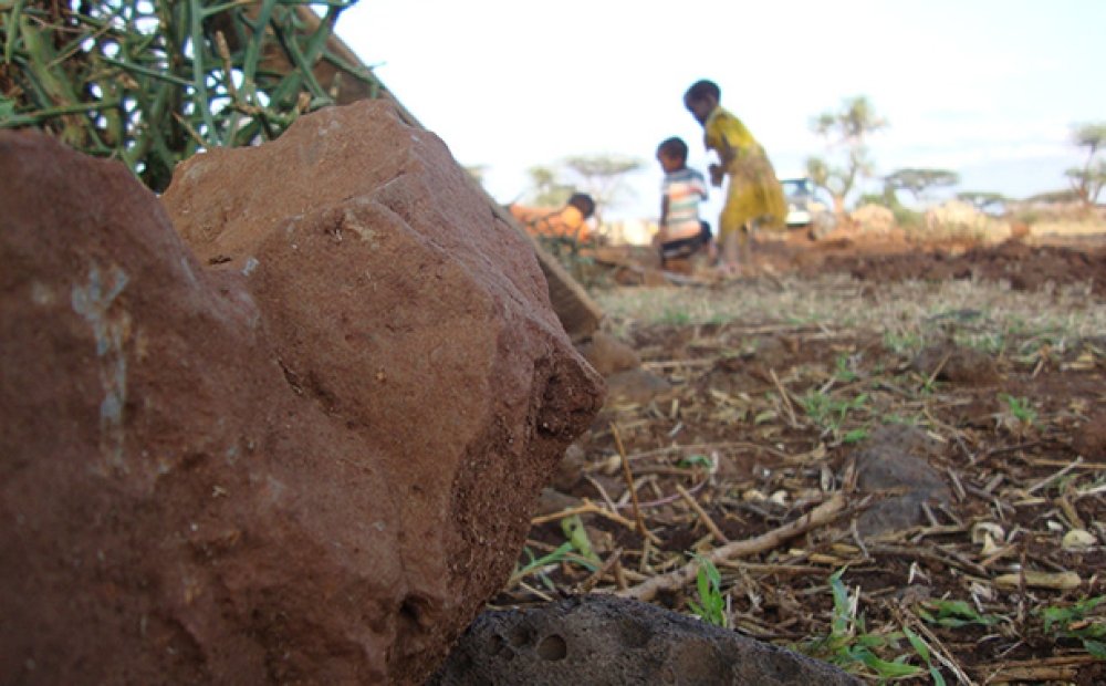 Land-Grabbing and Villagization in Ethiopia's Lowlands and Beyond