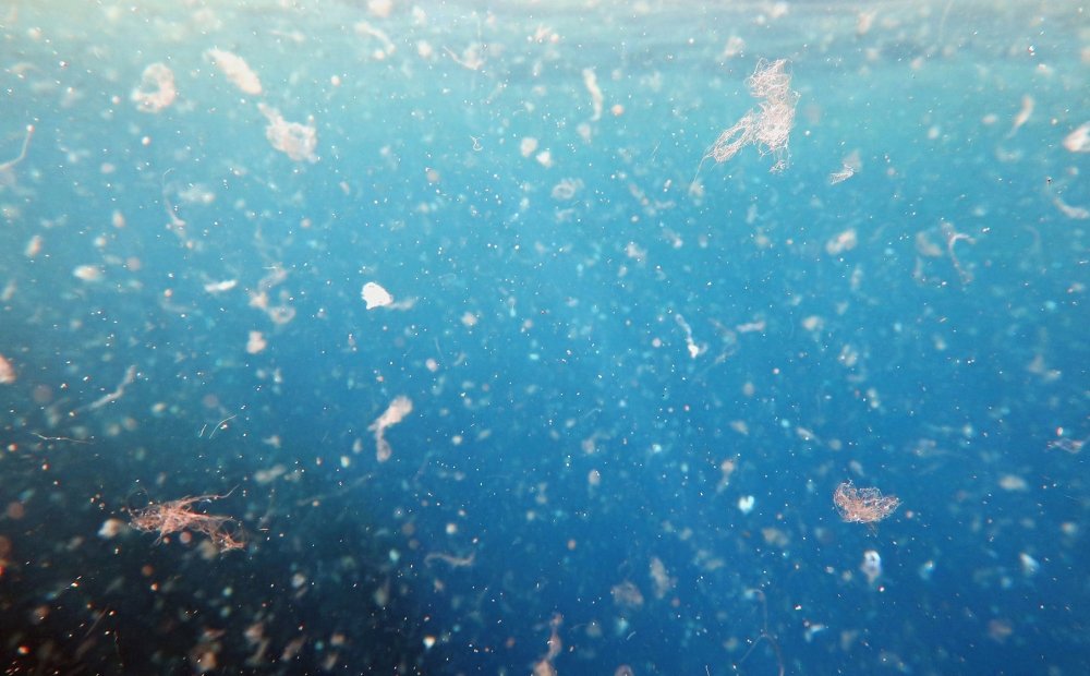 Microplastics in the Ocean