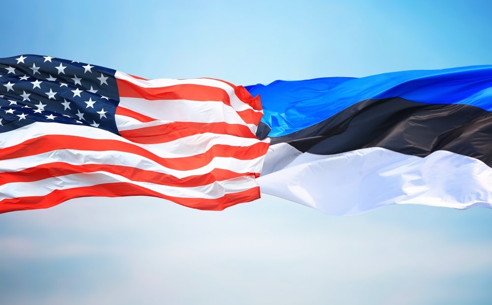 Estonia US flags pic