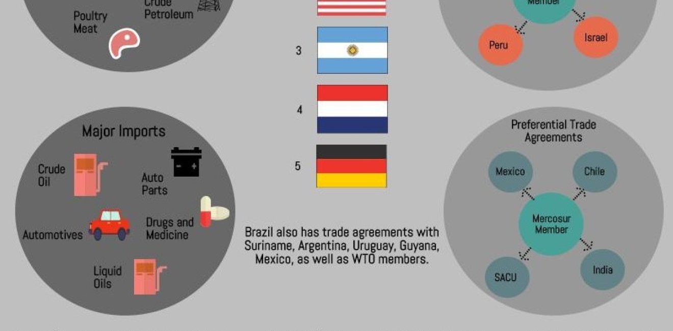 Brazilian Trade Infographic