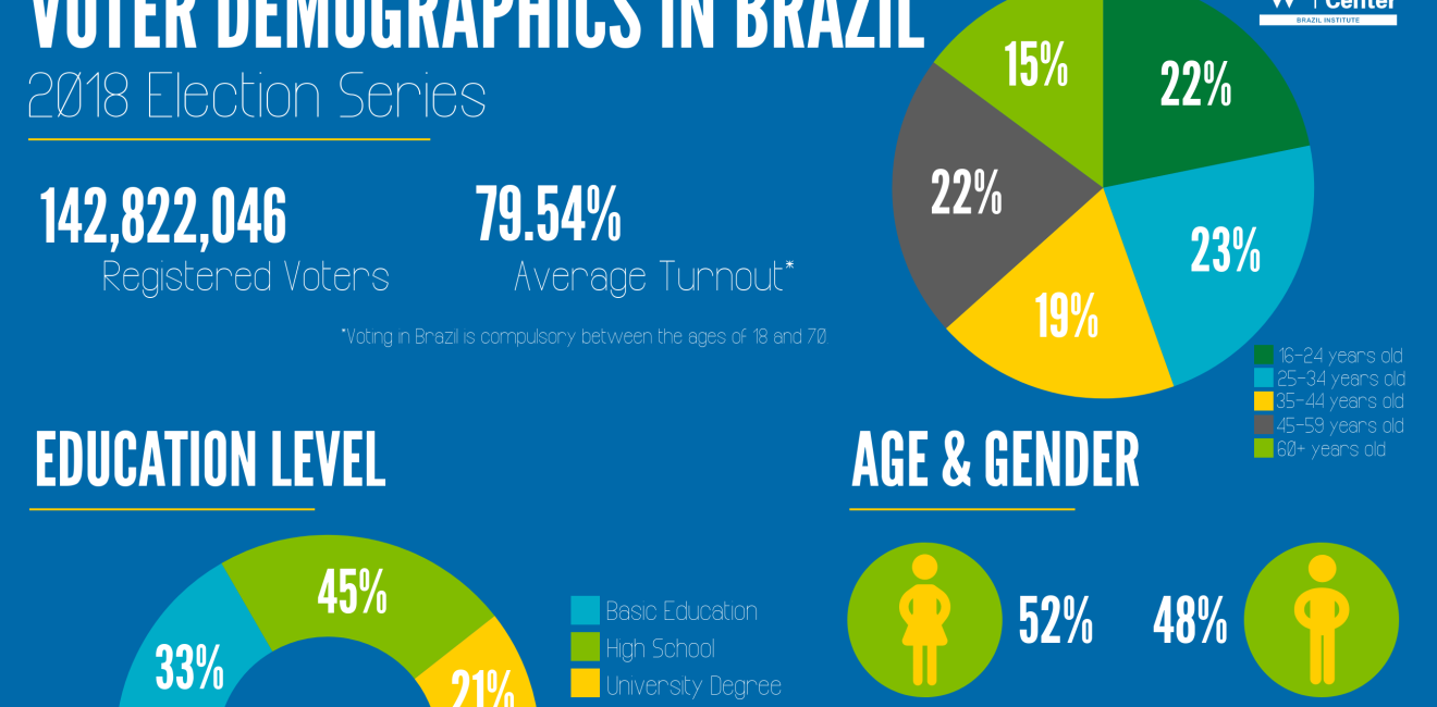 Voter Demographics in Brazil