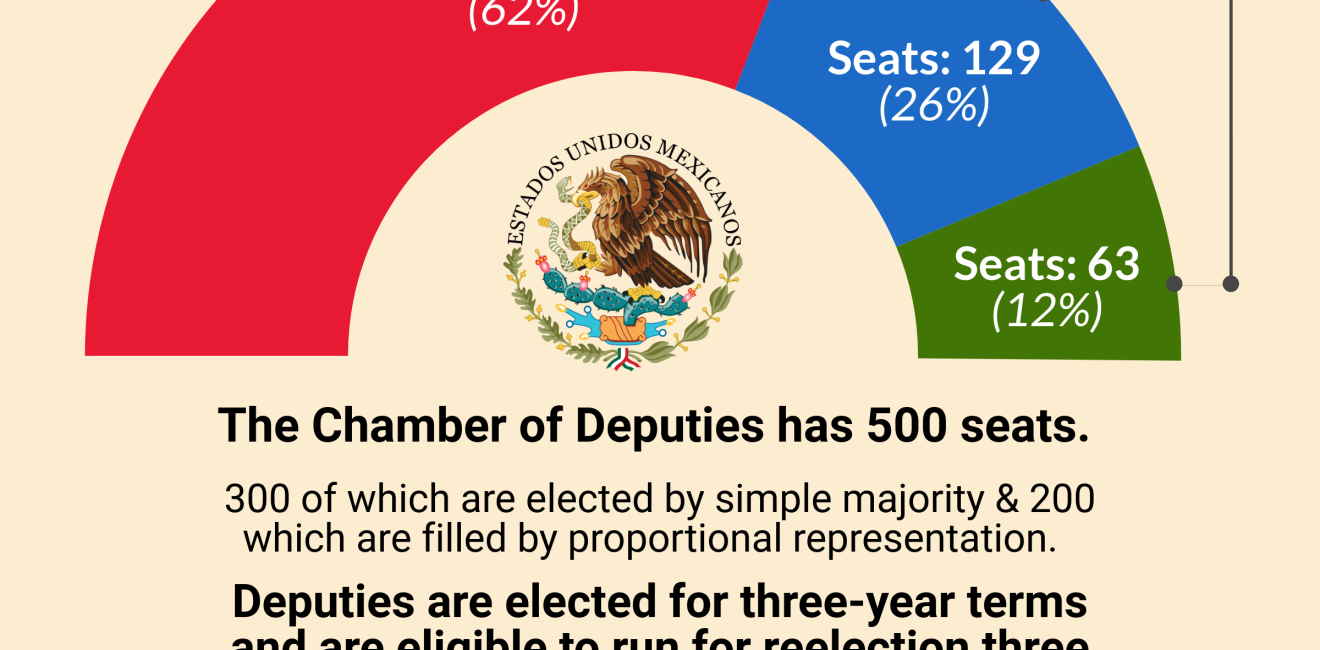 Infographic | 2018 Mexican Election Chamber of Deputies Results