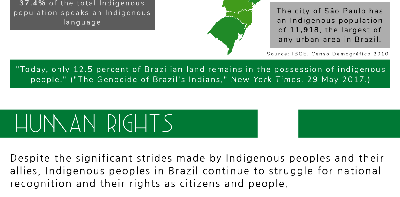 Indigenous Peoples of Brazil