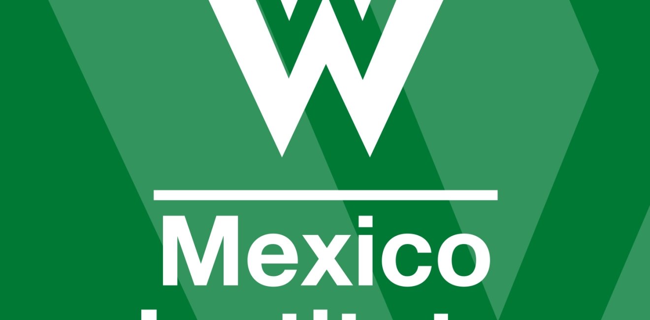 Call for Applicants: Intern with the Mexico Institute