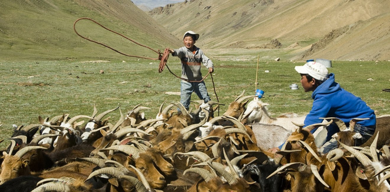 In Mongolia, Climate Change and Mining Boom Threaten National Identity