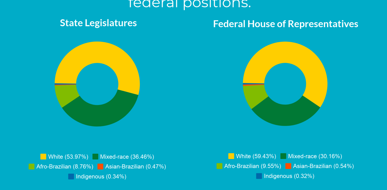 Political Participation in Brazil: A Look at Race