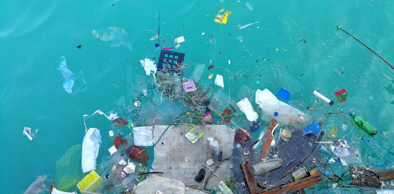 Citizen Science and Data Integration for Understanding Marine Litter