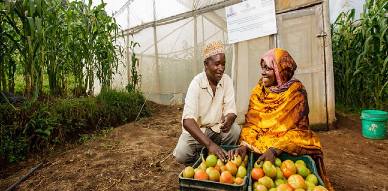 Lushoto. .Site 1.Farmer's name: Iddi Seif.Farmers Group: Individual farmer.Location: Kwekangaga.Crop(s): Tomato greenhouse