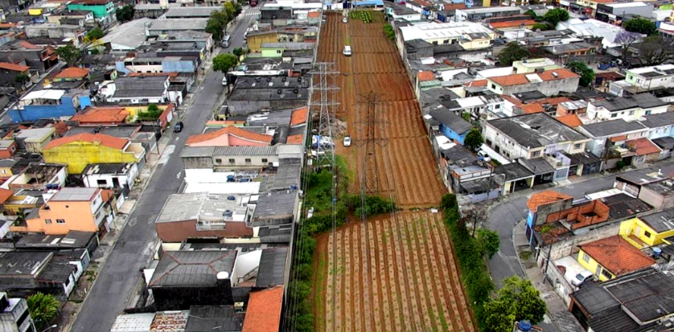 How Brazilian Cities are Boosting Sustainable Agriculture