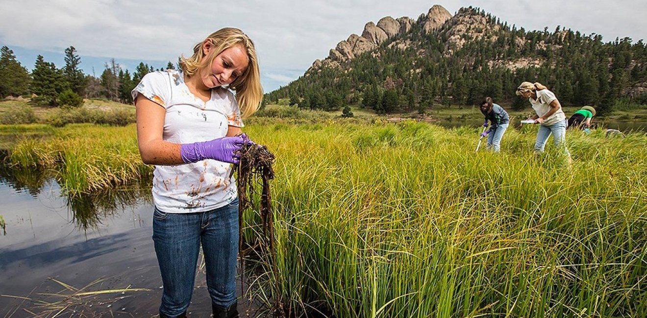 Citizen Science and Environmental Monitoring: Reflections on NEMC 2017