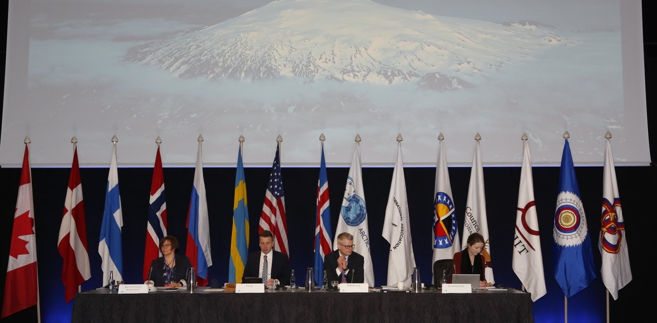 Representing 8 Arctic state flags, 6 Permanent Participant flags and one flag for the Arctic Council