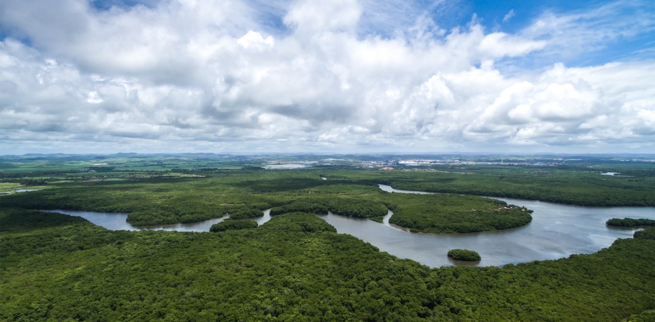 Aerial Photo of the Brazilian Amazon