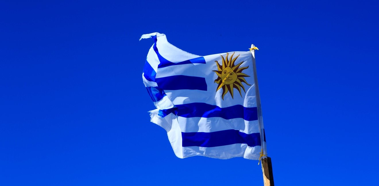 Image - Uruguay flag