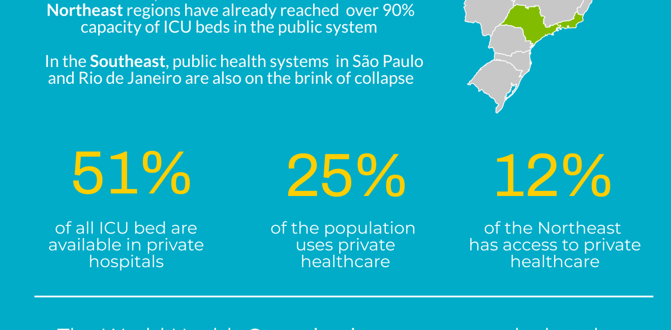 Healthcare Inequality and the COVID-19 Pandemic in Brazil