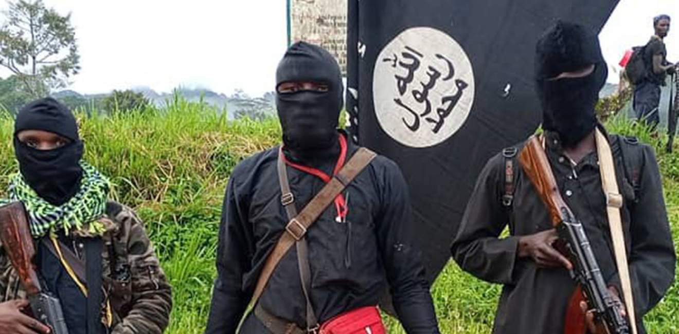 Islamic State fighters in Mozambique wide