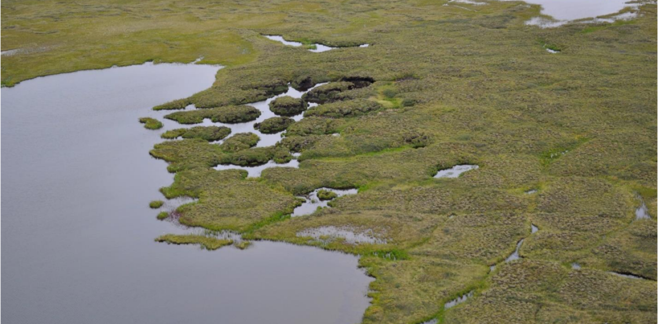 Permafrost degradation