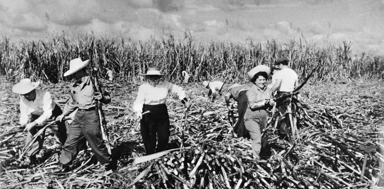 Sugar harvest in Cuba, 1970