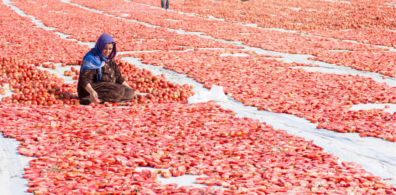 Syrian Refugee Worker