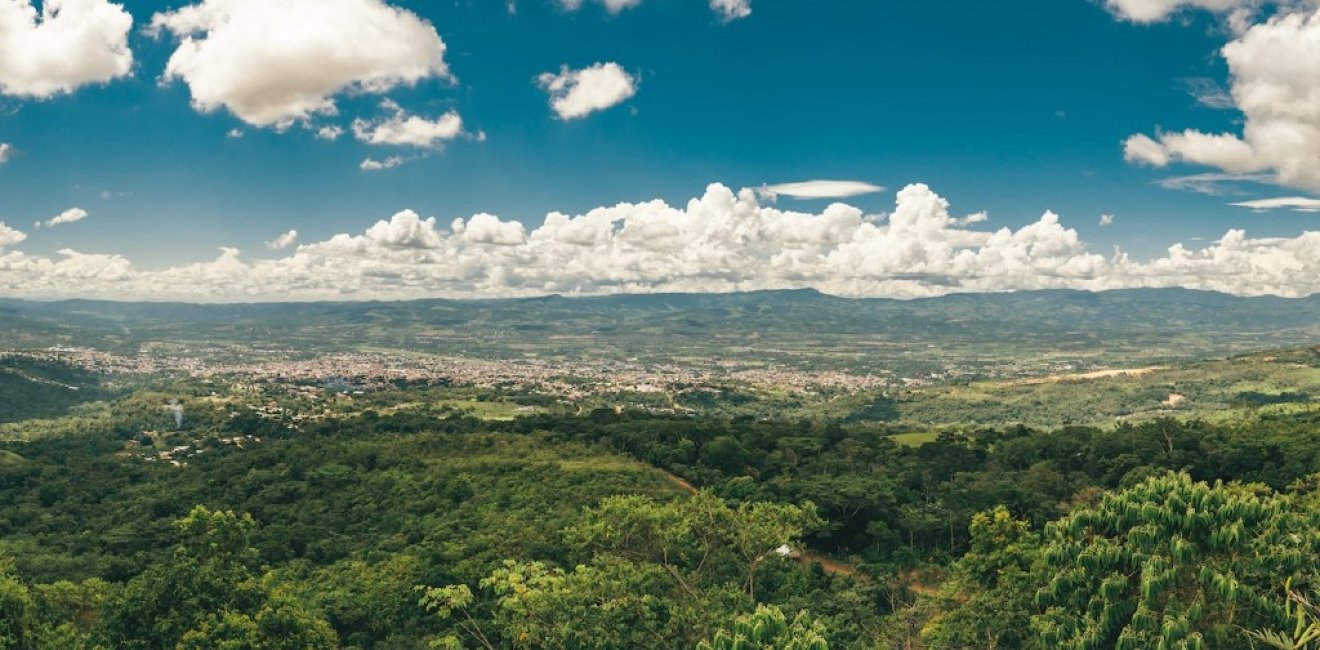 Amazon Jungle, Brazil