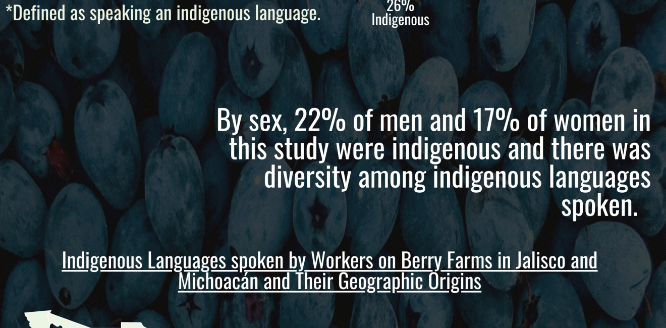 Indigenous Workers in the Berry Industry