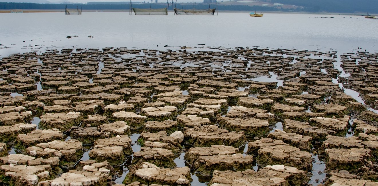 Image of lake, dry from drought in Hidalgo Mexico 