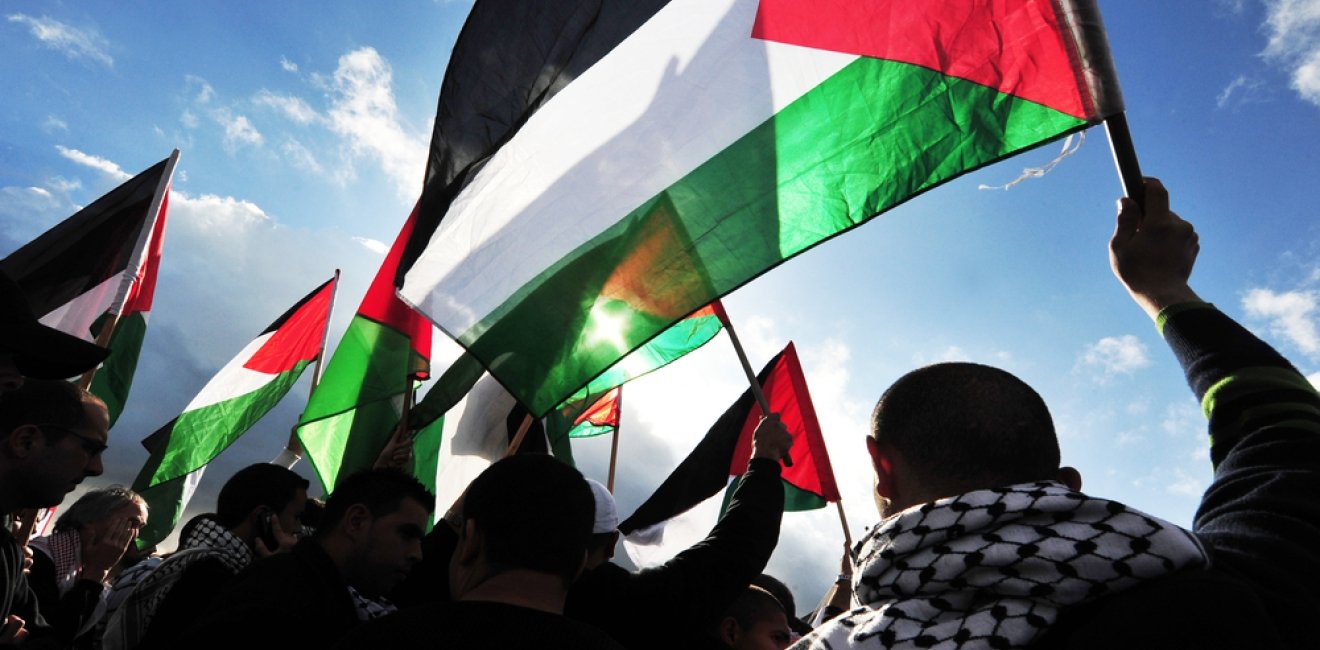 People Holding Palestinian Flags