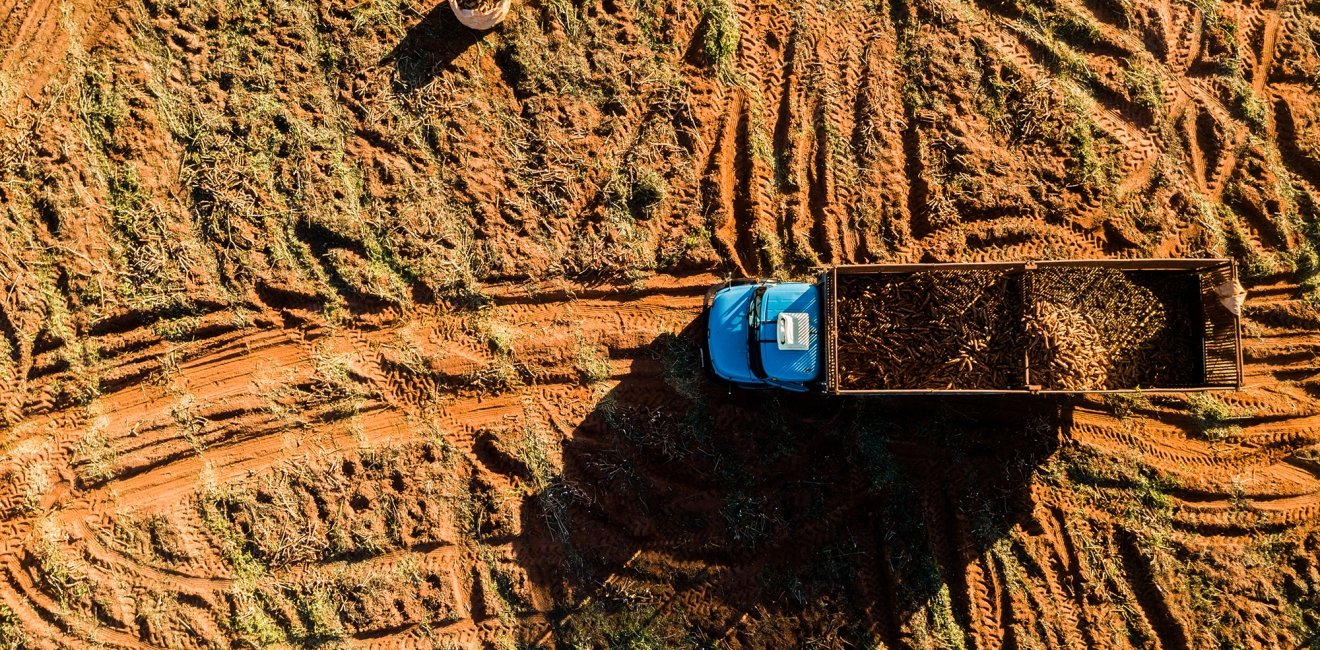 Aerial view of the cassava harvest in Mato Grosso do Sul, Brazil