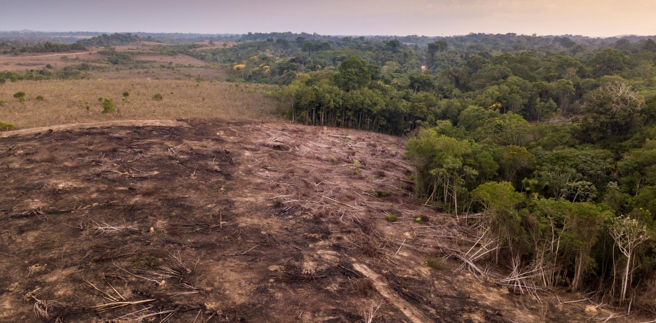 Drone aerial view of deforestation in the Amazon rainforest