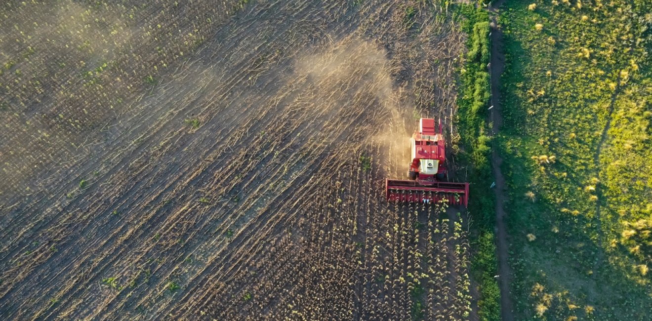 Argentina harvest