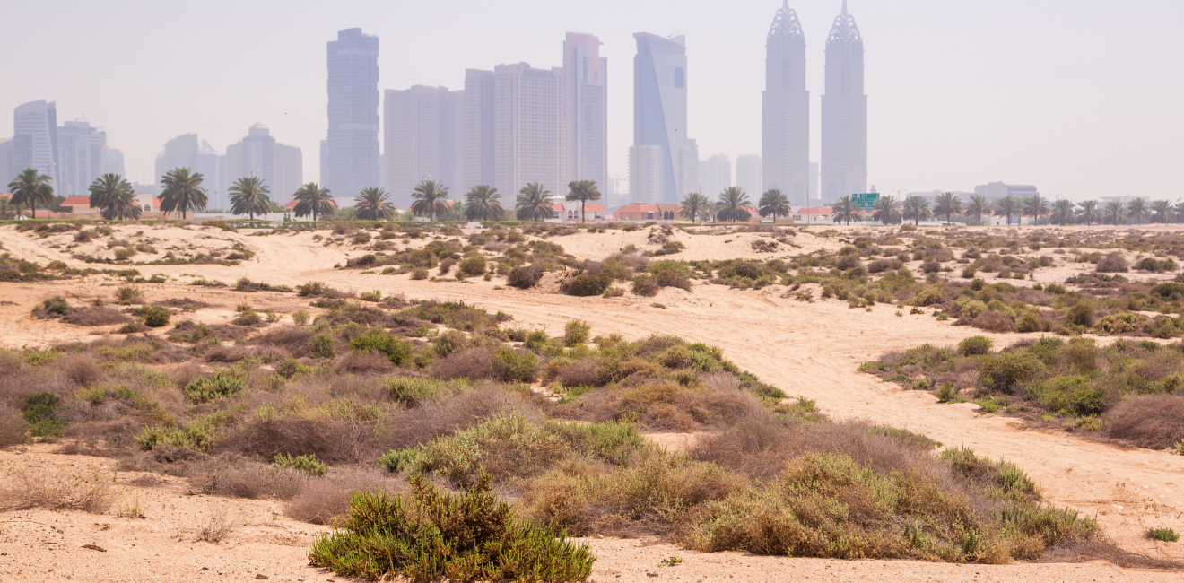 Jumeirah Beach, UAE