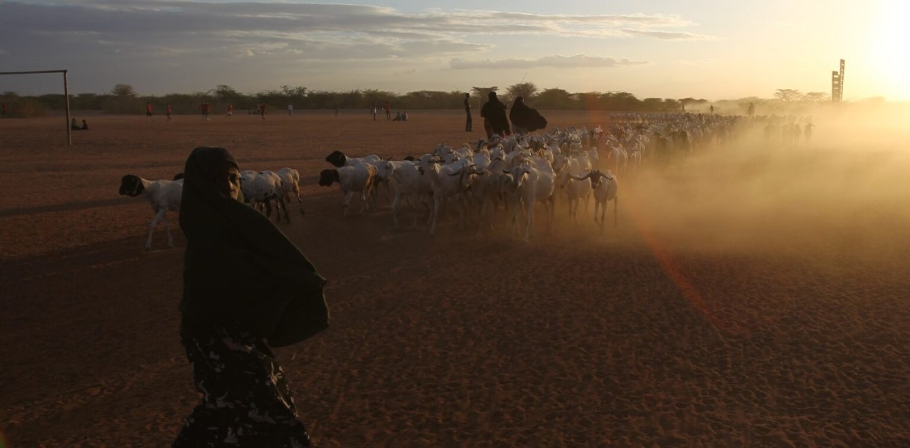 Sandstorm Sahel