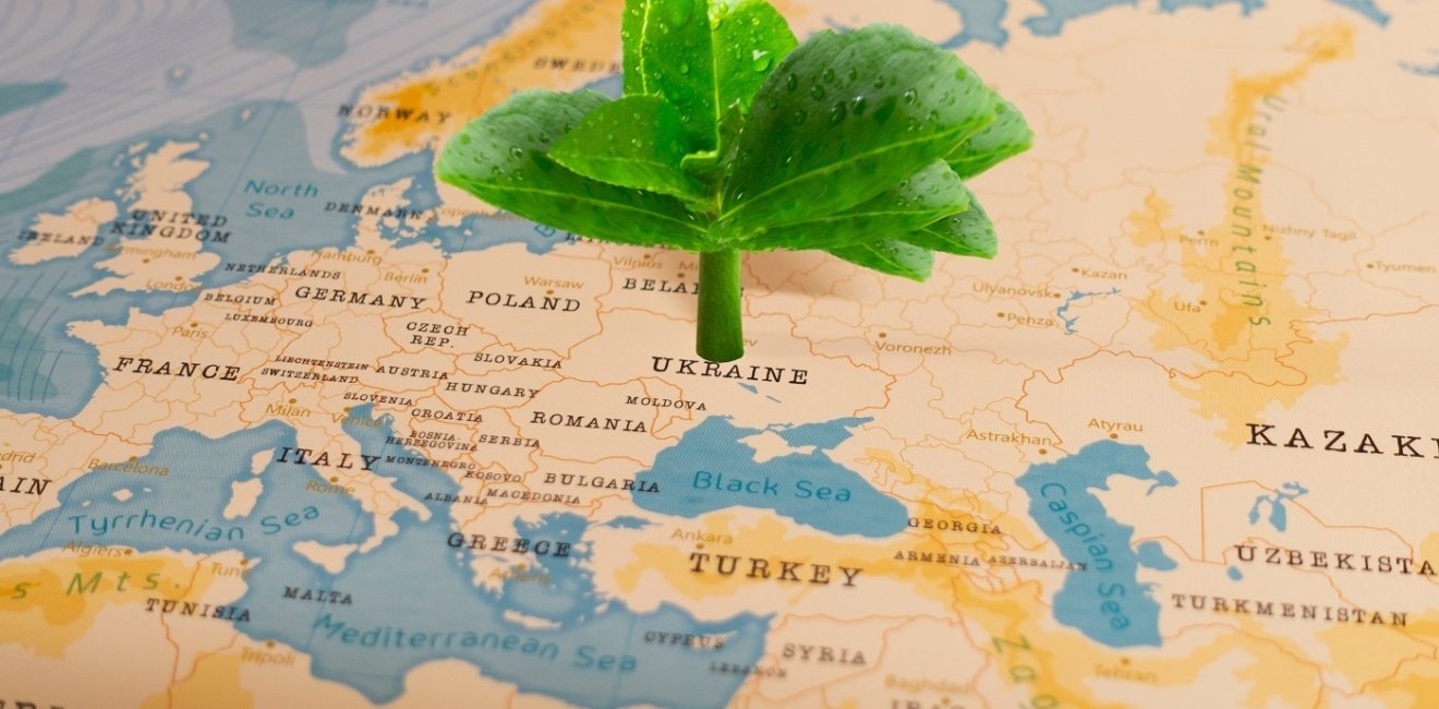 Green leaf on map sprouting from Ukraine