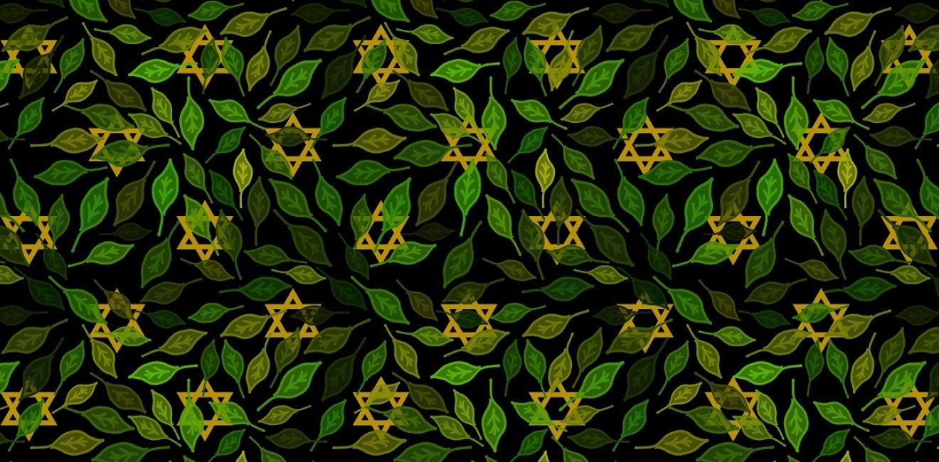 illustration star of david leaves