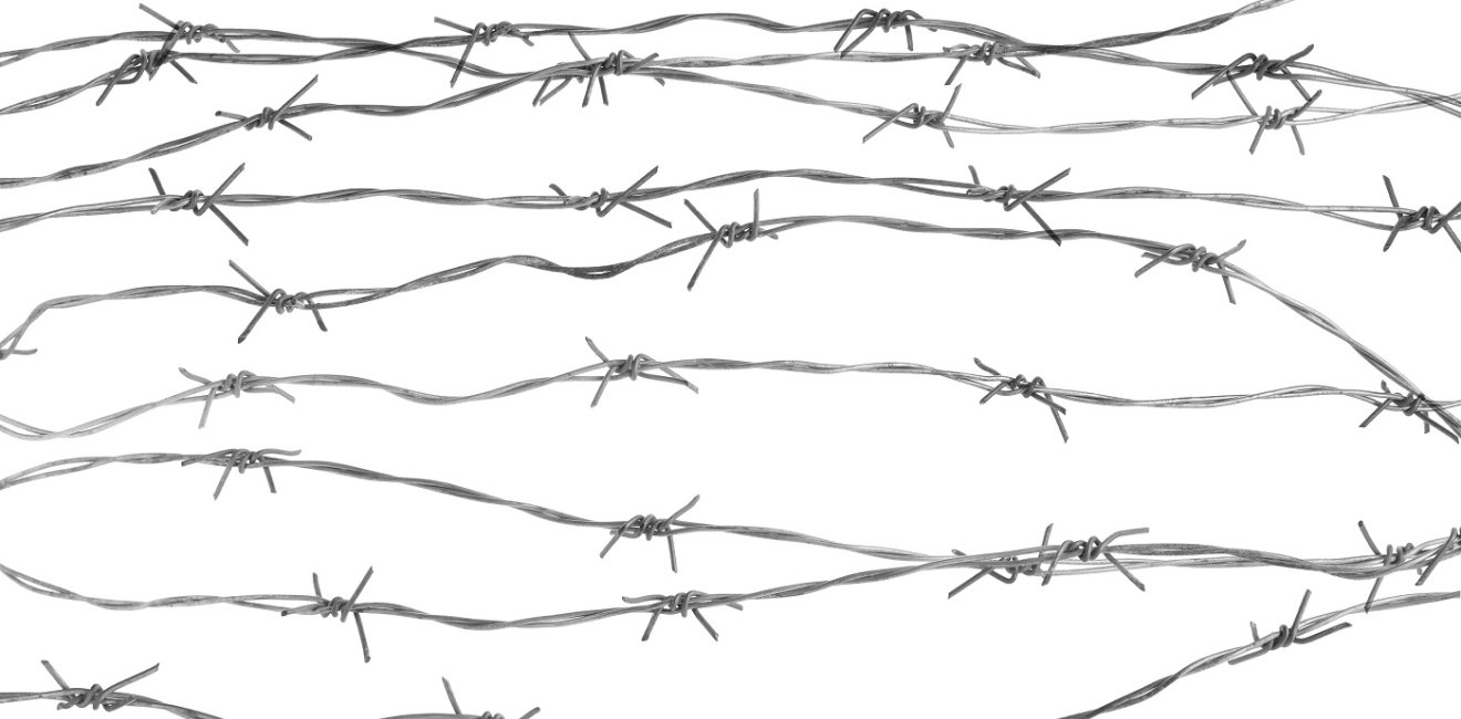 barbed wire