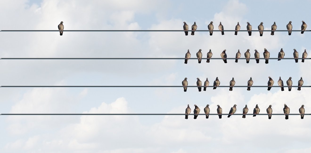 group of birds on a wire one separate from the group