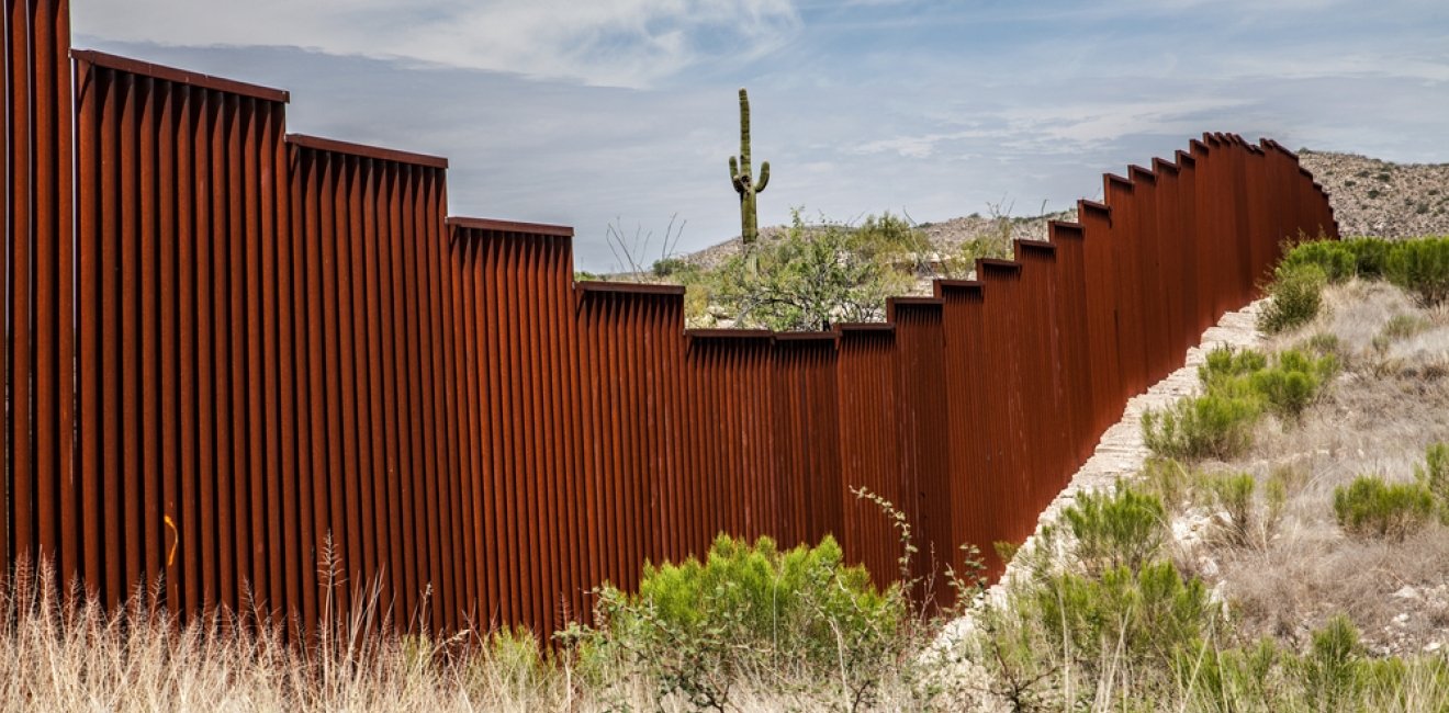 Border fence along Arizona border. A cactus is seen in distance