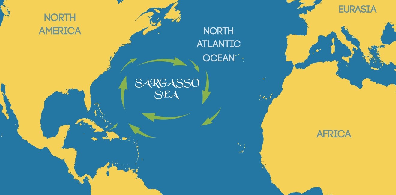 Graphic rendition of the Sargasso Sea in mid-Atlantic Ocean