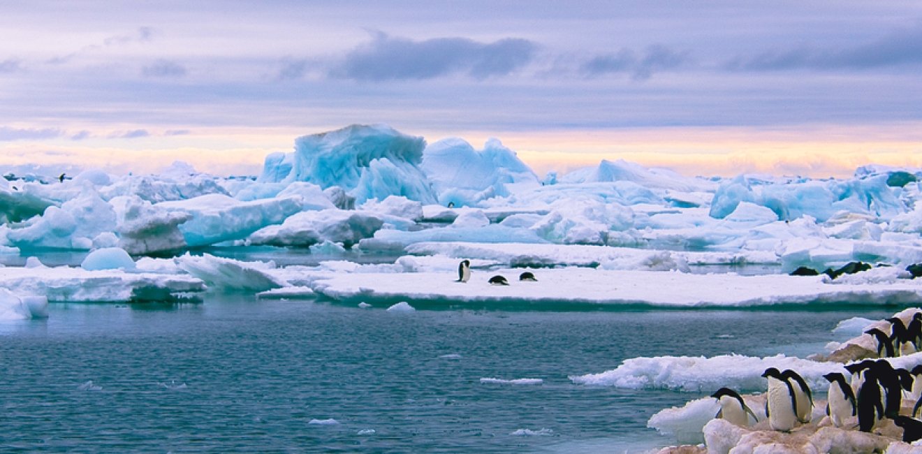 Antarctica ice and penguins picture