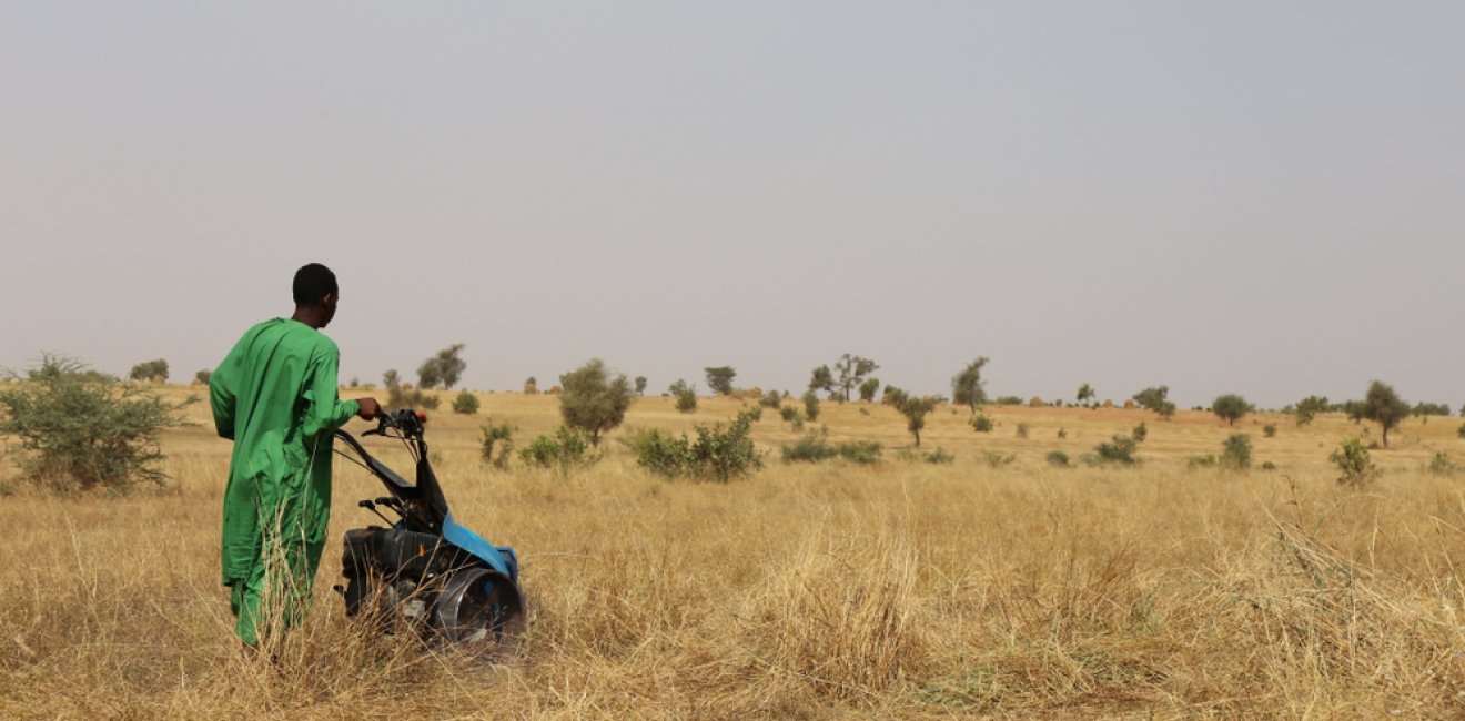 Farmer in Sahel Region