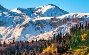 Snow covered mountains with fall forest